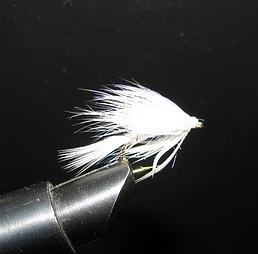 ���� ������ Wet fly 